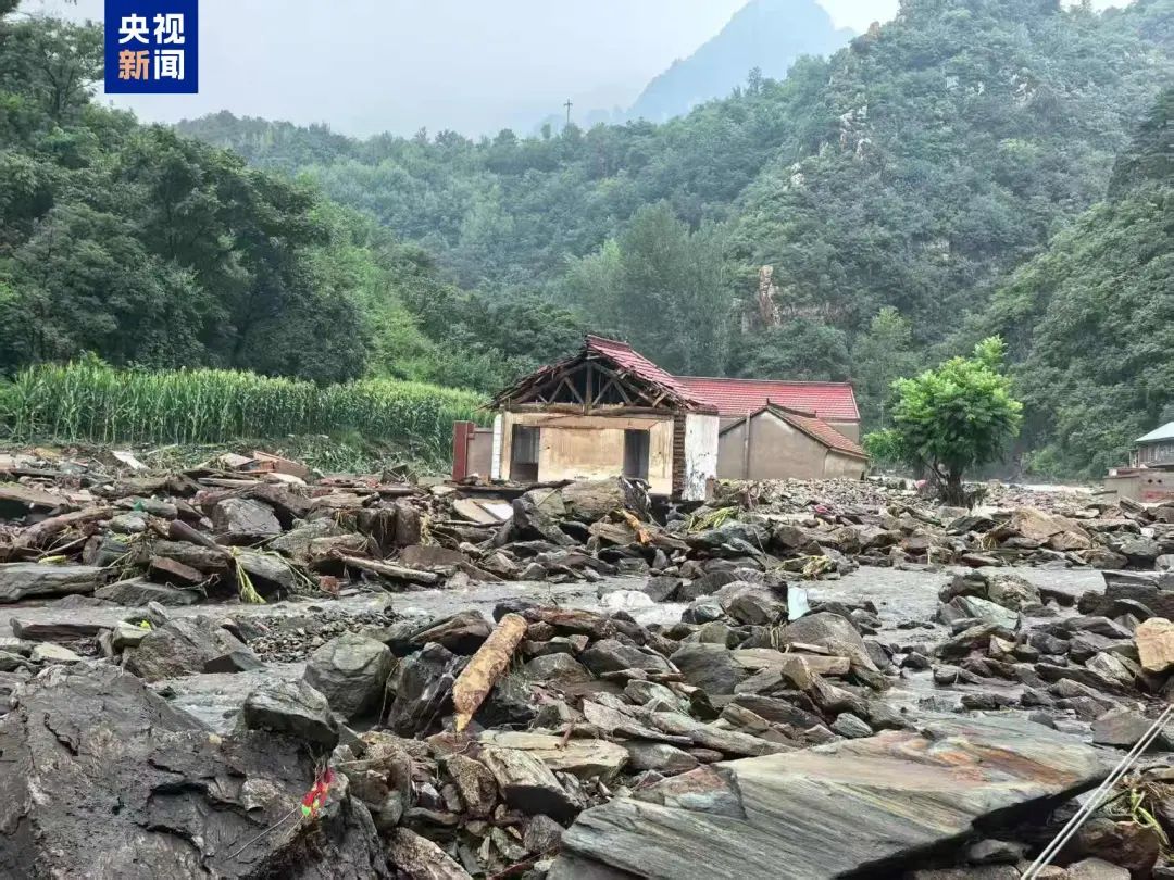 理想汽车、字节跳动捐赠1000万元雷军宣